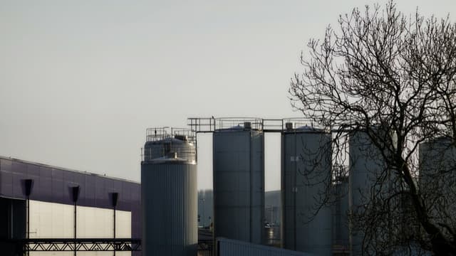 Industrial agricultural processing facility with silos