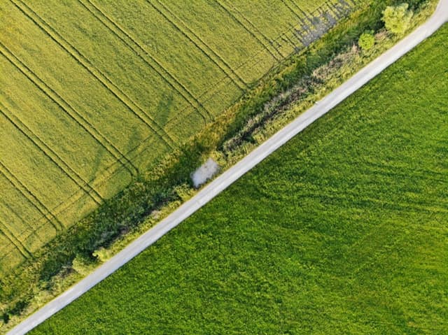 Aerial view of a rural road through agricultural land